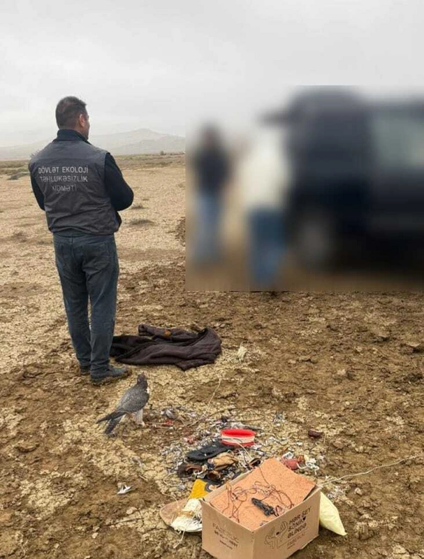 Qanunsuz ov edən Suriya və Qətər vətəndaşları saxlanıldılar