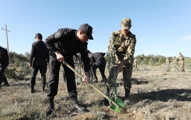 DİN-in əməkdaşları Zəfər Günü ilə əlaqədar ağacəkmə kampaniyası keçirdilər - VİDEO