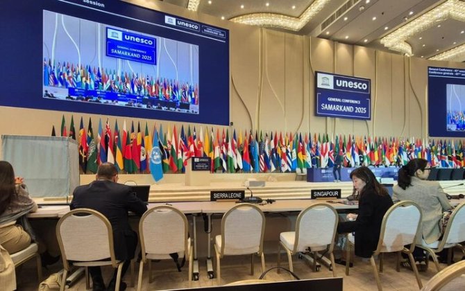 Elnur Məmmədov YUNESKO-nun 43-cü sessiyasında iştirak edib - FOTO