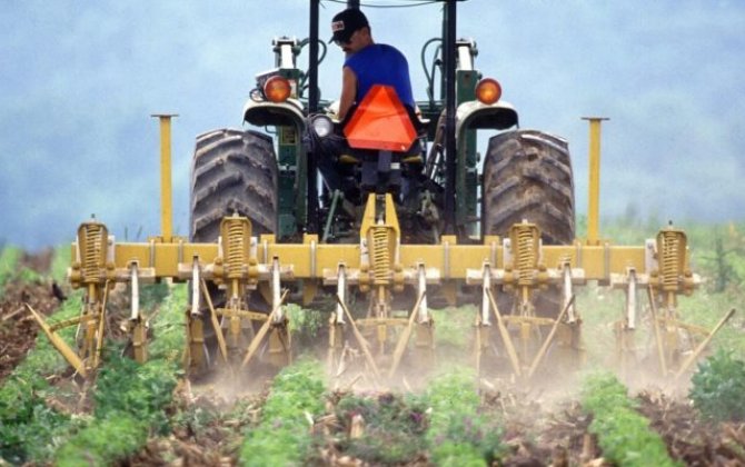 Сельское хозяйство Британии тонет в убытках