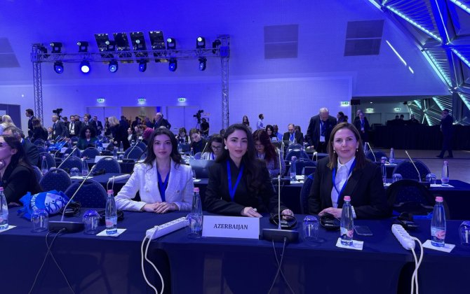 ADSEA nümayəndələri Macarlstanda keçirilən beynəlxalq tədnirdə - Fotolar