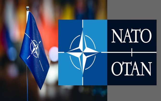 NATO Baş katibinin köməkçisi: 