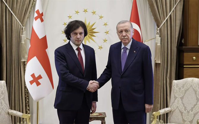 Эрдоган обсудил с Кобахидзе ход спасательных работ на месте авиакатастрофы
