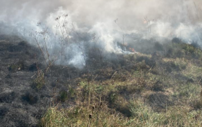 Ermənistan-Azərbaycan sərhədində baş verən yanğın davam edir - FOTO