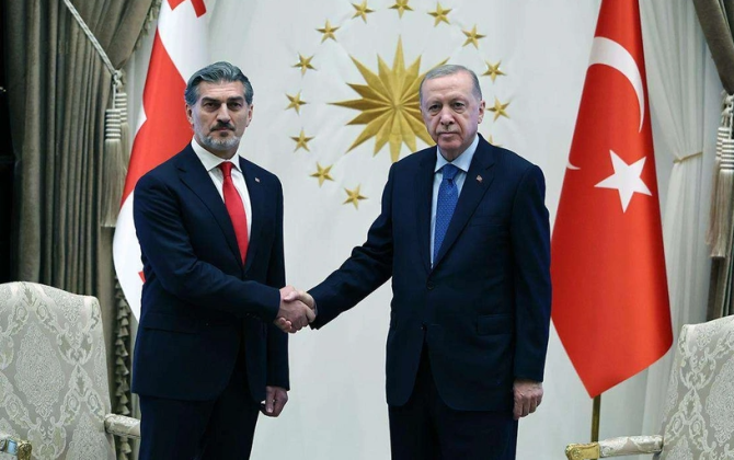 Türkiyə və Gürcüstan prezidentləri təyyarə qəzası ilə bağlı son durumu müzakirə ediblər