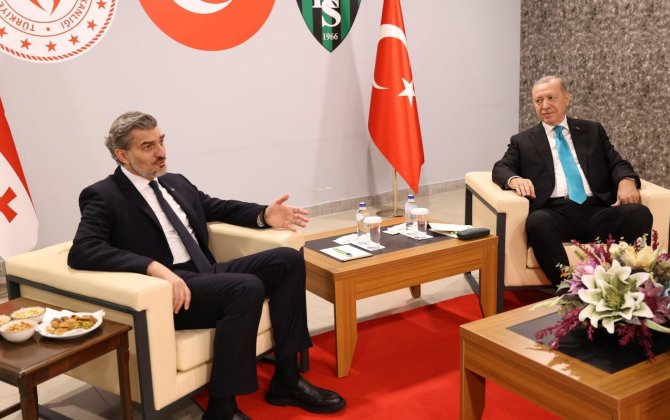 Эрдоган и Кавелашвили обсудили ход спасательных работ на месте авиакатастрофы