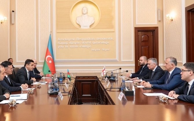 Gürcüstanın ədliyyə naziri Azərbaycana gəldi