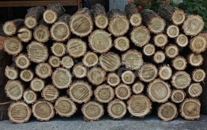 Qaz olmayan kəndlərin sakinlərinə odun veriləcək