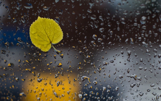 Bir sıra ərazilərə yağış yağıb - FAKTİKİ HAVA