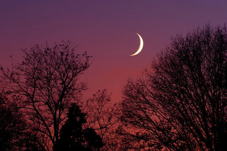 Yeni Ay 4 BÜRCU şoka salacaq