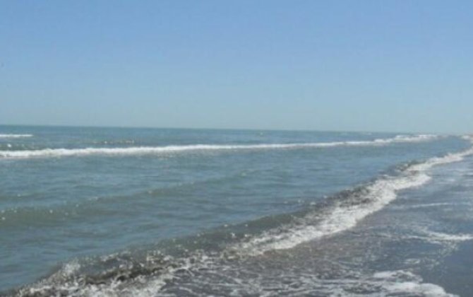 Xəzər dənizində suyun azalmasının əsas səbəbi Volqa çayıdır - EKSPERT