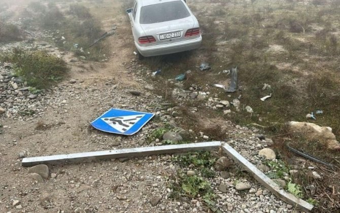 Avtomobil qoyun sürüsünə çırpıldı, onlarla heyvan tələf oldu - FOTO