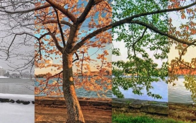 2026-cı ildə fəsillərin Azərbaycana daxilolma vaxtları açıqlandı