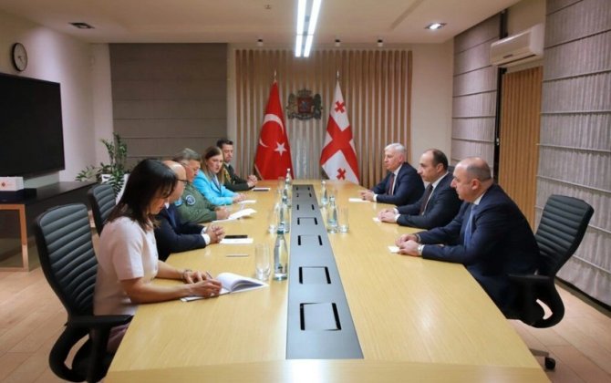 Gürcüstanın daxili işlər naziri türkiyəli generalla təyyarə qəzasını müzakirə edib