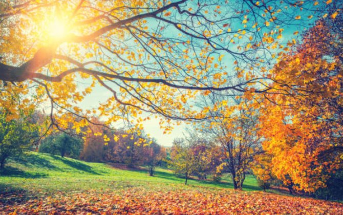 Завтра в Азербайджане ожидается 21 градус тепла