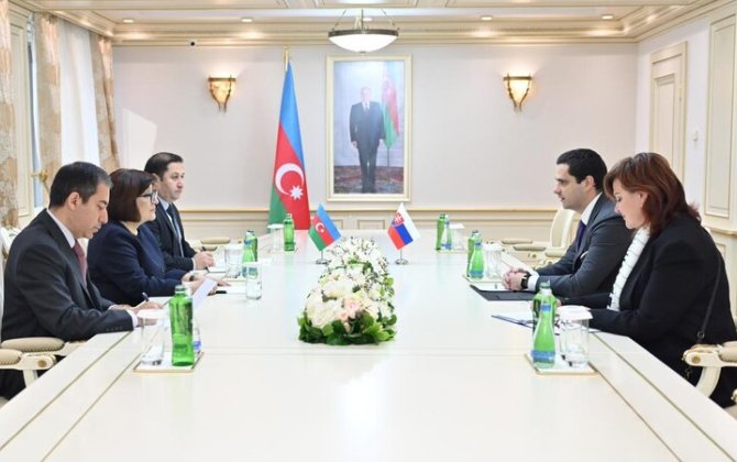 Sahibə Qafarova Slovakiyanın ölkəmizdəki səfiri ilə görüşüb