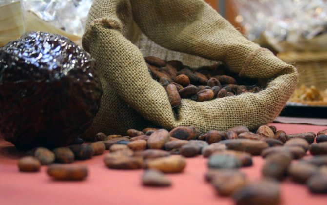 Какао-бобы подешевели до минимума с февраля 2024 года