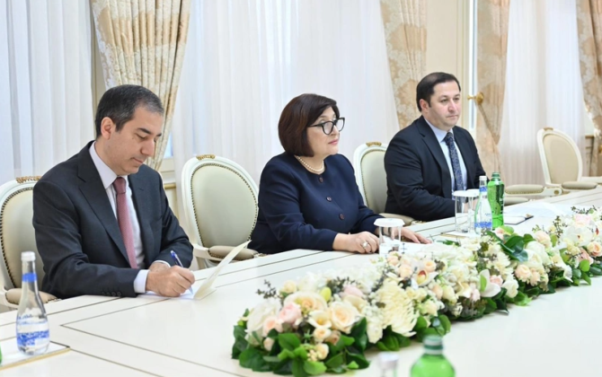 Slovakiya səfiri Sahibə Qafarova ilə görüşdən paylaşım edib