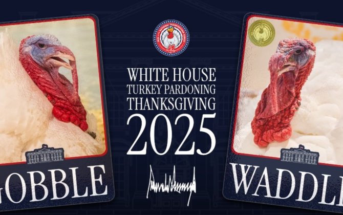 Трамп подарит жизнь двум индейкам