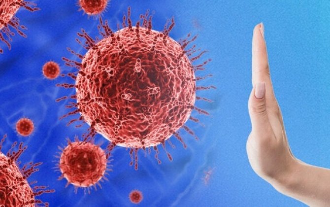 Azərbaycanda yeni növ virus yayılır? - AÇIQLAMA