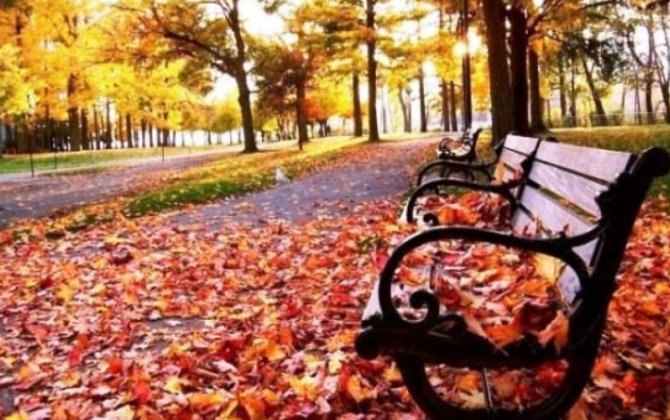 Noyabrda havaların mülayim keçməsinin SƏBƏBİ