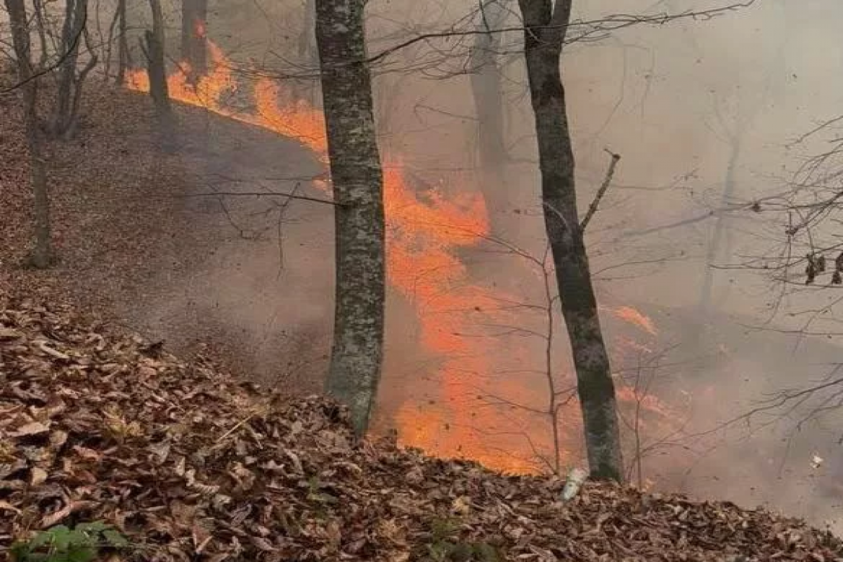 Ermənistan genişmiqyaslı yanğınlarla bağlı başqa ölkələrdən kömək məsələsini müzakirə etmir