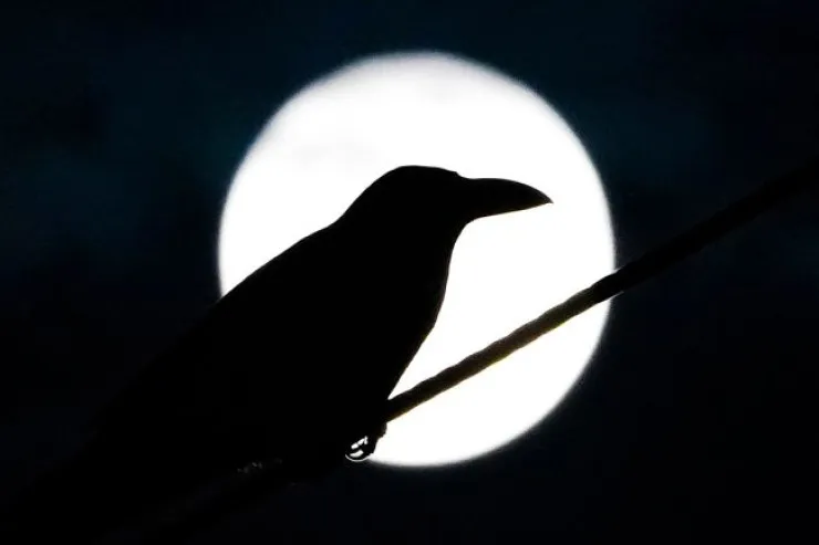 İlin sonuncu Tam Ayı bu BÜRCLƏRİ ən xoşbəxt edəcək: 