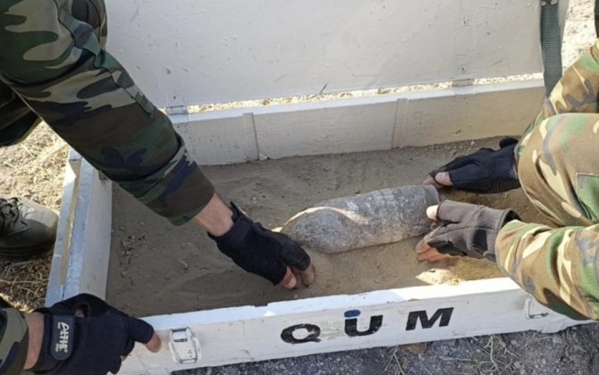 Naxçıvanda əl qumbarası və top mərmisi tapılıb - VİDEO