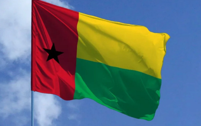 Qvineya-Bisaunun keçid dövrü prezidenti and içib