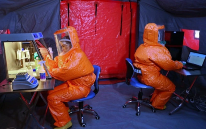 Quş qripi xəstəliyinə qarşı epizootoloji monitorinq keçiriləcək