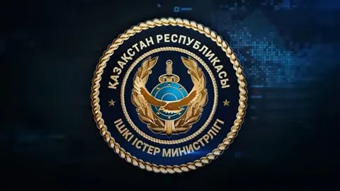 МВД Казахстана: Расследуются 10 уголовных дел по фактам дропперства