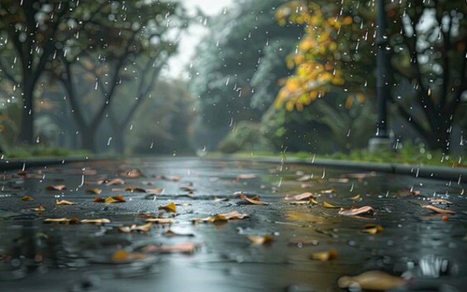 Sabah yağış yağacaq - PROQNOZ