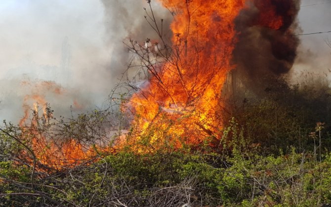 Baksol yolunda məişət tullantıları yığılmış ərazi yanır