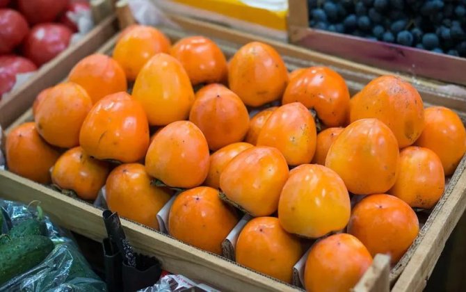 В Чечне проверили 73 тонны фруктов из Азербайджана