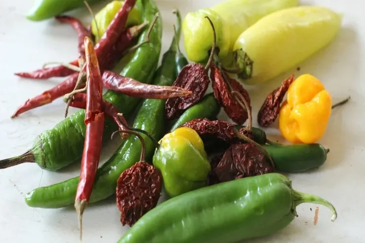 Ədviyyatlı yemək həqiqətən arıqlamağa kömək edirmi?