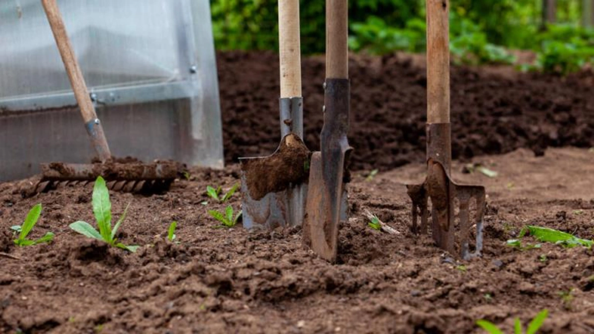 İsmayıllıda qeyri-adi adət: Ölən adamı öz həyətində basdırıblar - VİDEO