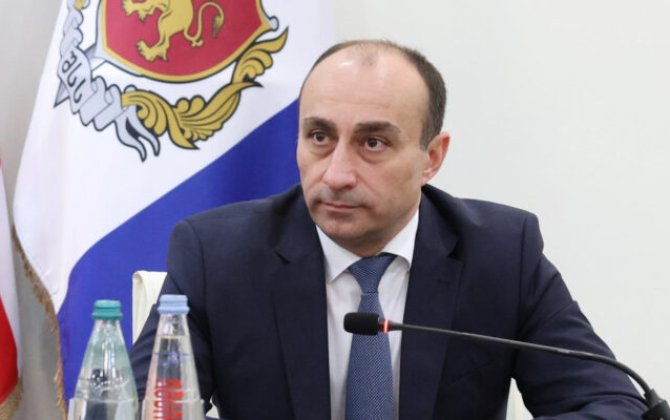 МВД Грузии: Во время разгона митингов не использовались опасные для здоровья вещества