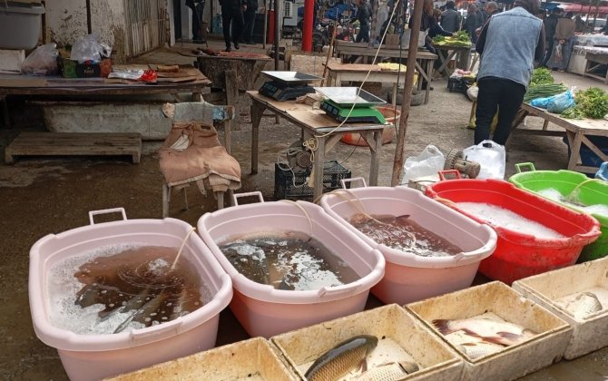 AQTA bu rayonların ərzaq bazarlarında monitorinq keçirdi - VİDEO