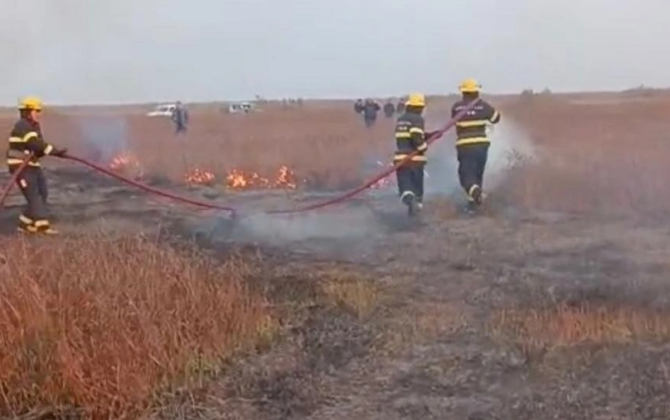 Cəlilabadda yanğın baş verib, 5 hektar ərazi yanıb - VİDEO