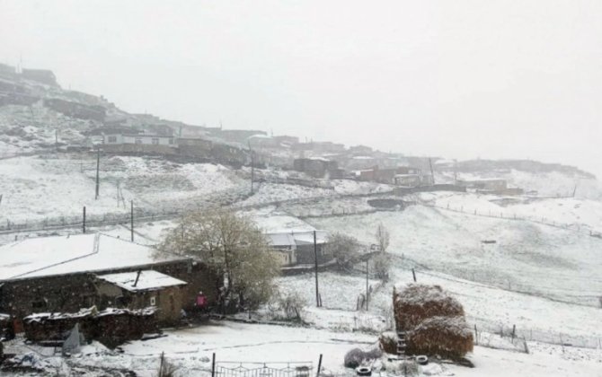 Bəzi yerlərdə qarın hündürlüyü 3 sm-ə çatıb - FAKTİKİ HAVA