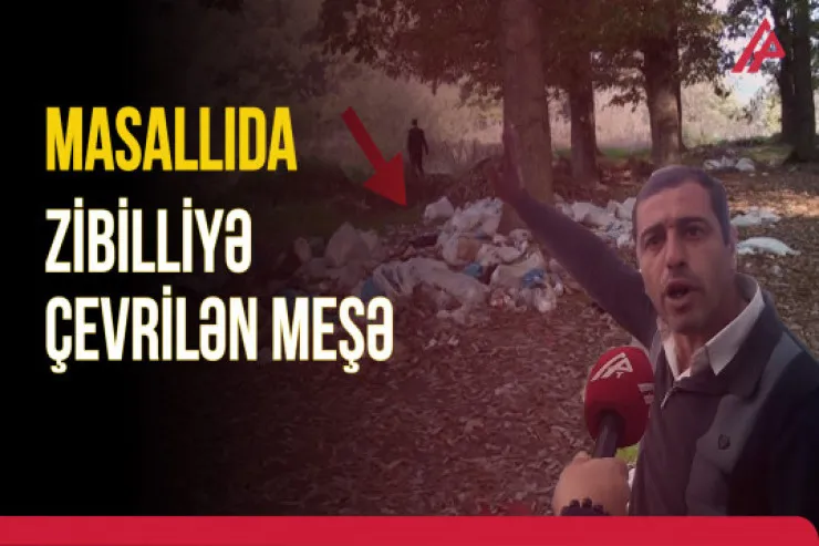 Masallıda zibilləri daşıyıb meşəyə atırlar - VİDEO