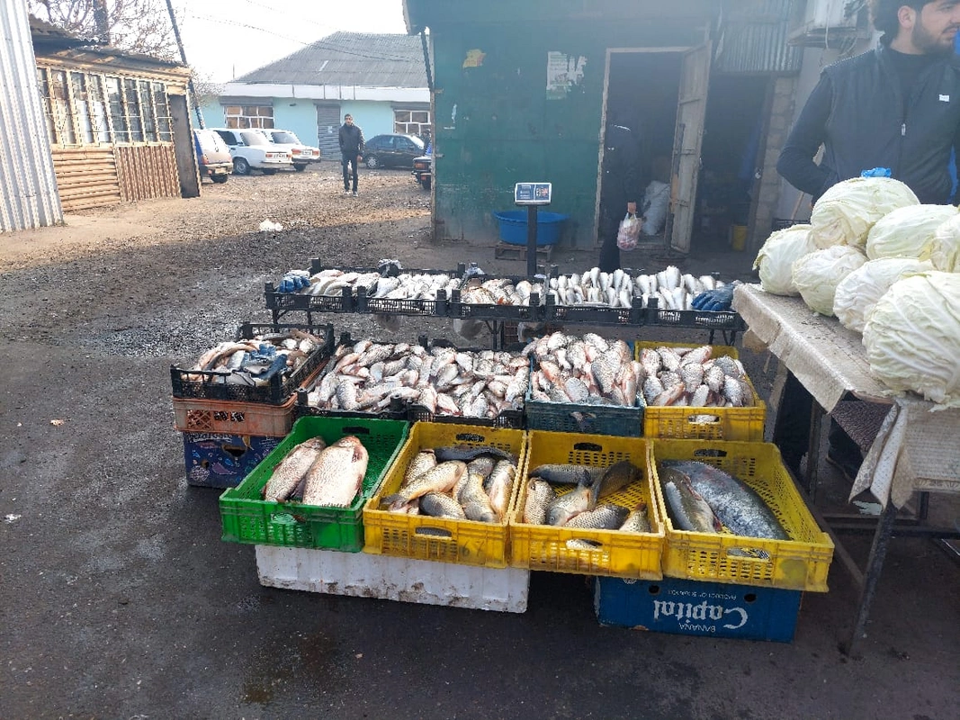 Azərbaycanın bir neçə rayonunda ərzaq bazarlarında nöqsanlar aşkarlandı - VİDEO