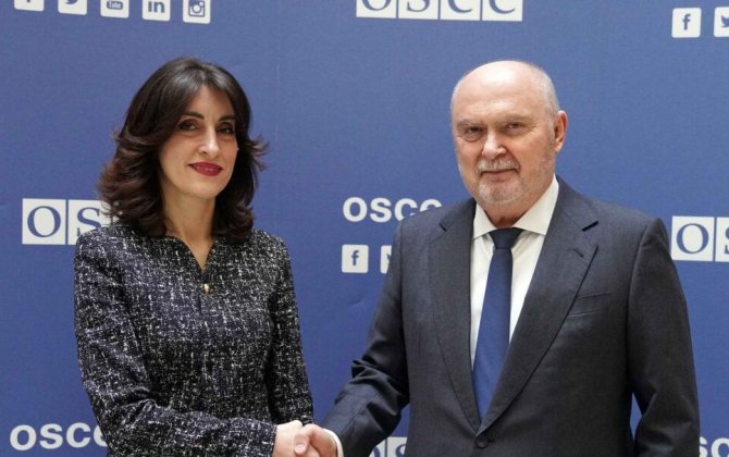 Глава МИД Грузии и генсек ОБСЕ обсудили региональную безопасность