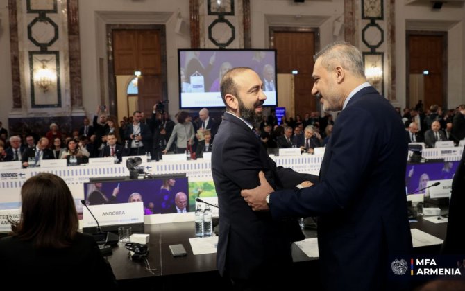 Mirzoyan Vyanada Hakan Fidanla görüşüb