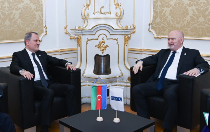 Azərbaycan XİN başçısı ATƏT-in Baş katibi ilə Bakı-İrəvan sülh prosesini müzakirə edib - FOTO