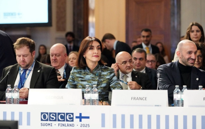 Boçorişvili: Bakı-İrəvan sülh prosesi Cənubi Qafqazda sabitlik üçün əsas yaradır