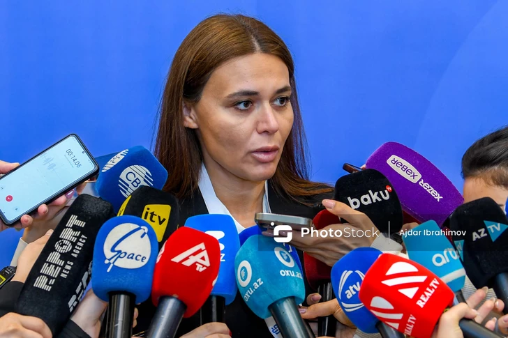 Грузия хочет перенять медиа идеи Азербайджана