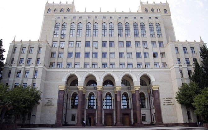 AMEA-da aşan ağac girişi bağladı: İsa Həbibbəyli binaya daxil ola bilmədi - FOTO