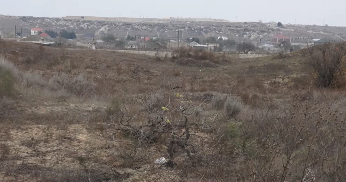 Ləhiş bağlarında torpaq qalmaqalı: Qazilər onlara ayrılan sahəyə niyə girə bilmir?