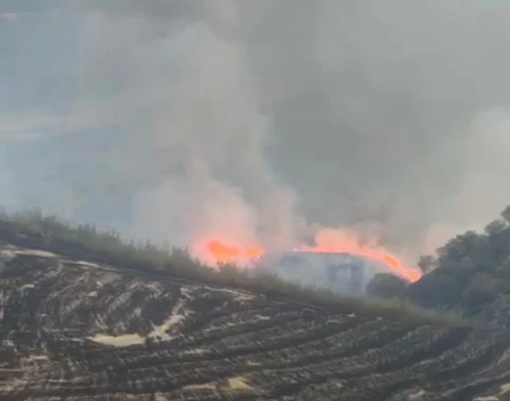 Zəngilandakı yanğına səbəb olan vəzifəli şəxs: 